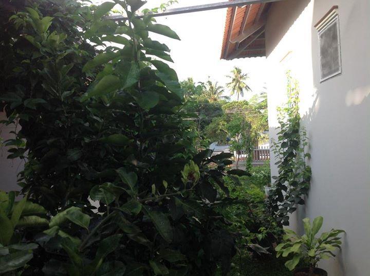 Manh Duyen Garden Homestay Phu Quoc Eksteriør bilde